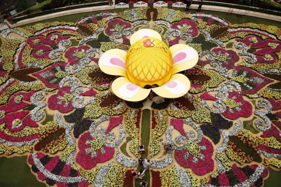 Con un tapiz de 181 mil flores, Medellín recibe su tradicional Feria de las Flores