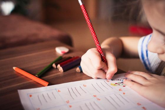Consejos de experta en educación para que los niños se formen como emprendedores Consejos de experta en educación para que los niños se formen como emprendedores