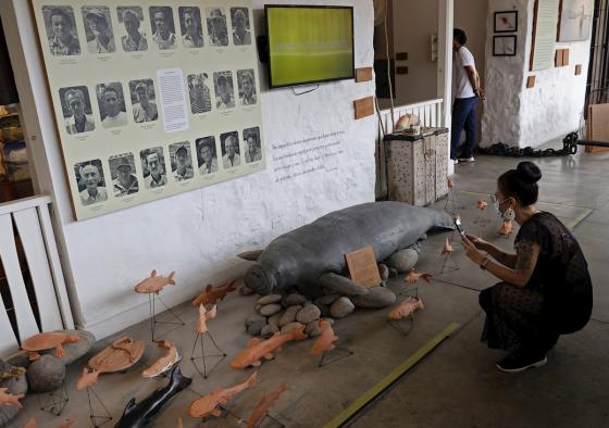 Museo 