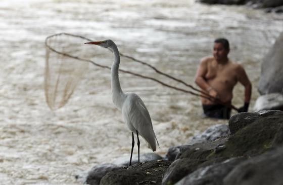 Pescadores tradicionales