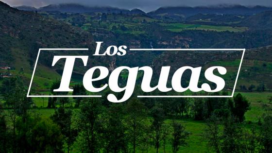 Teguas, grupo indígena de Colombia Teguas, grupo indígena de Colombia