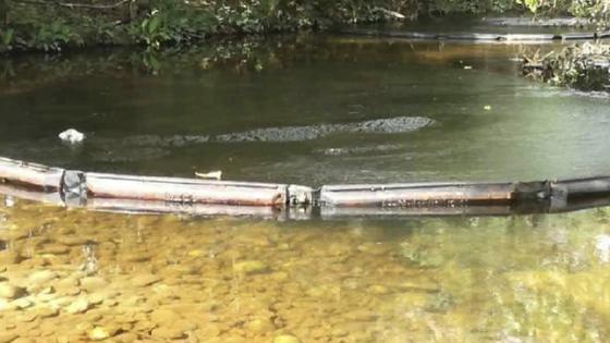 Oleoducto Caño Limón Coveñas: buscan restablecer su funcionamiento Oleoducto Caño Limón Coveñas: buscan restablecer su funcionamiento