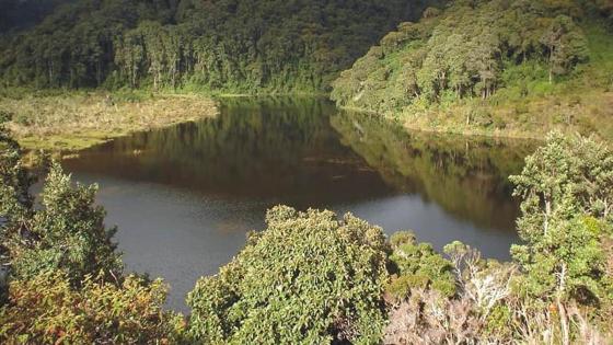 Día Mundial de los Parques Naturales