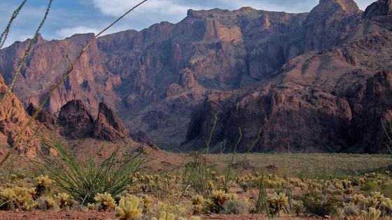 Desgarrador: últimas palabras de madre e hija que murieron en Arizona Desgarrador: últimas palabras de madre e hija que murieron en Arizona