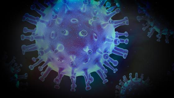 Virus África Virus África