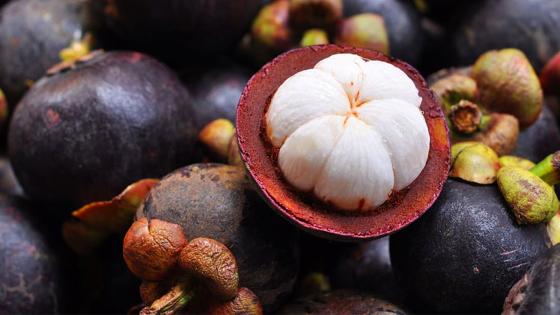 Mangostino Mangostino