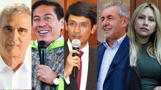 Partido Verde: ¿en qué va la elección del candidato presidencial?