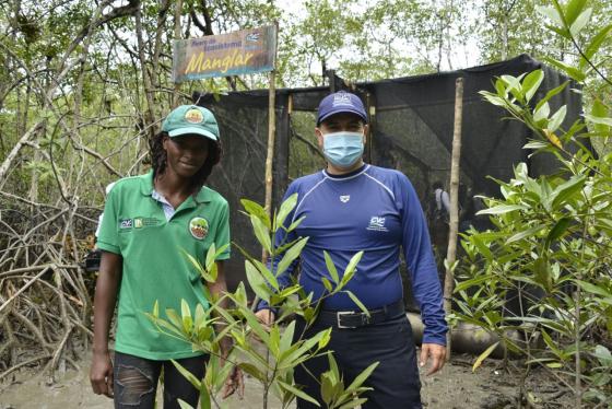 La apuesta con manglares en el Pacífico colombiano La apuesta con manglares en el Pacífico colombiano