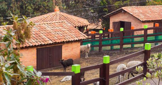 La Granja Del Bosque La Granja Del Bosque
