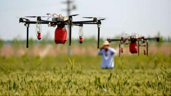 Los drones son tecnología cada vez más presente en la producción agropecuaria colombiana. Drones y alta tecnología: la revolución rural del pacífico colombiano.