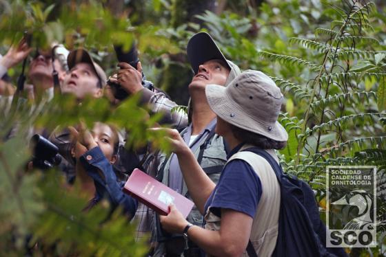 Avistamiento de aves en Colombia