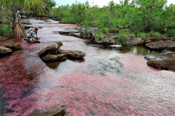 El Guaviare descubre el turismo de naturaleza para dejar atrás el conflicto El Guaviare descubre el turismo de naturaleza para dejar atrás el conflicto