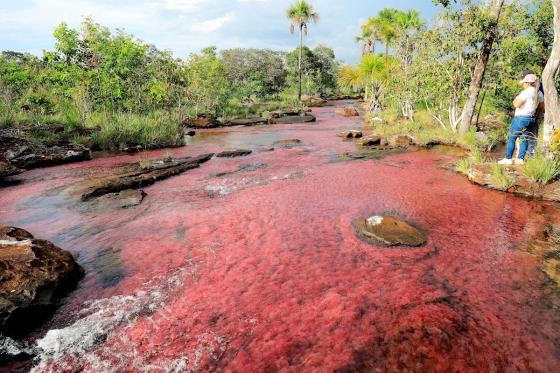 El Guaviare descubre el turismo de naturaleza para dejar atrás el conflicto El Guaviare descubre el turismo de naturaleza para dejar atrás el conflicto