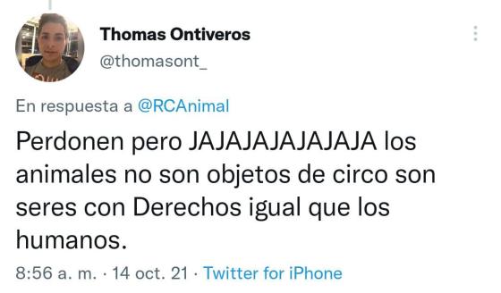 Ciudadanos en redes reportan maltrato animal Ciudadanos en redes reportan maltrato animal