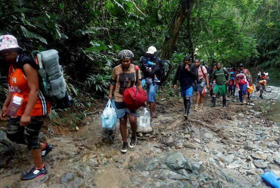 La selva que no deja ir a los migrantes La selva que no deja ir a los migrantes