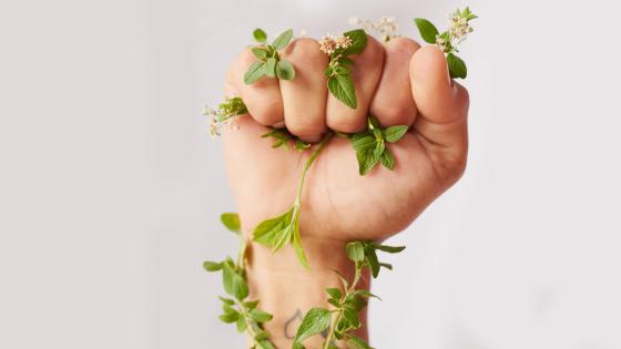 marcas-impacto-ambiental marcas-impacto-ambiental