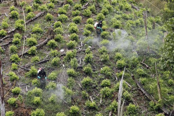 Nueva estrategia antidrogas entre Estados Unidos y Colombia Nueva estrategia antidrogas entre Estados Unidos y Colombia