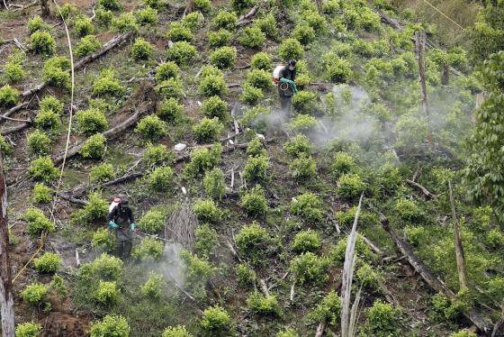 Nueva estrategia antidrogas entre Estados Unidos y Colombia