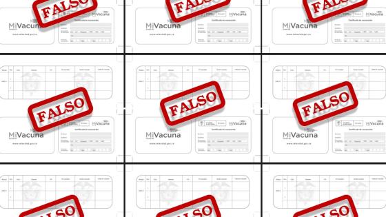 Aumento de carné de vacunación falso en Bogotá Aumento de carné de vacunación falso en Bogotá