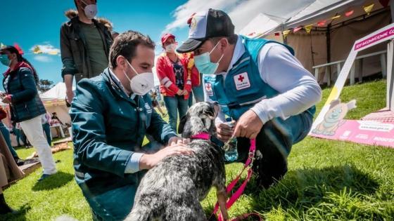 Primer hospital para mascotas en Bogotá