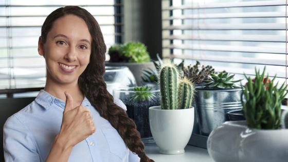 Beneficios de cultivar en casa Beneficios de cultivar en casa