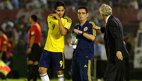 Falcao 2014 Falcao 2014