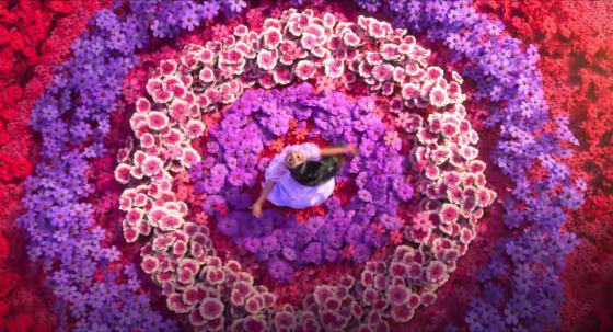 flores flores