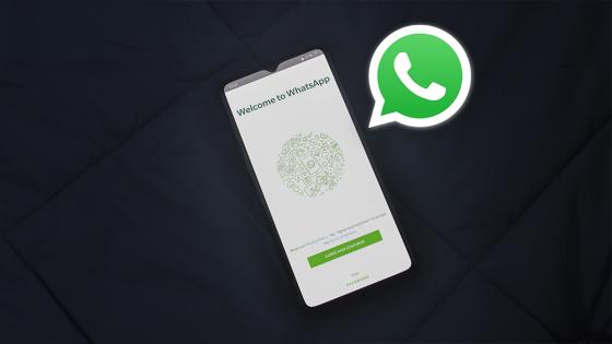 alt whatsapp alt whatsapp