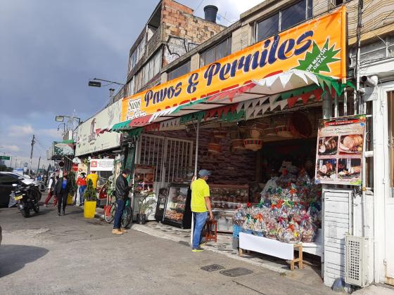 Avenida Avenida