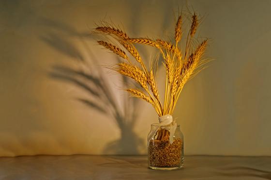 Pixabay - angelicavaihel