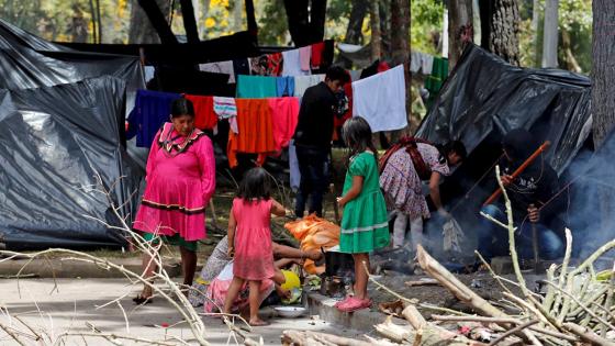 Indígenas Emberá serán reubicados en Bogotá Indígenas Emberá serán reubicados en Bogotá