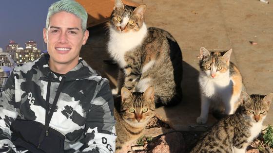 El curioso nombre de la gata de James Rodríguez