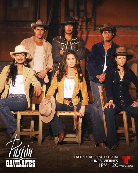 pasiondegavilanes