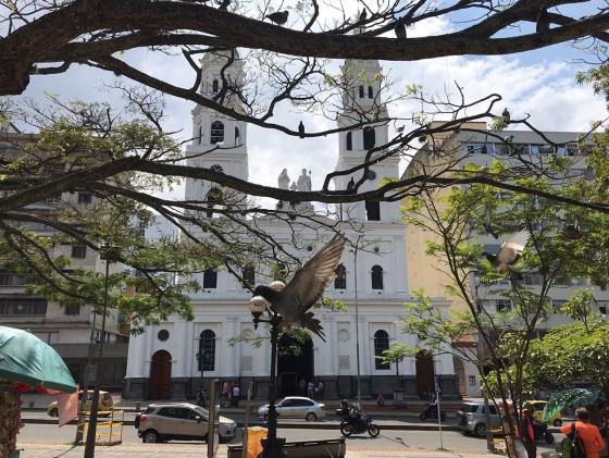 Bucaramanga Bucaramanga