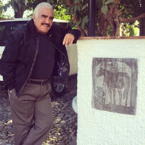 _vicentefdez _vicentefdez
