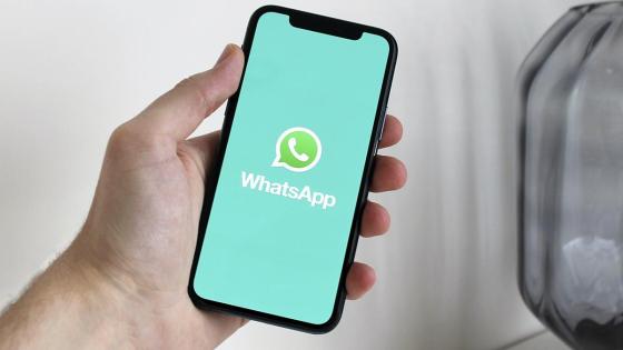 alt whatsapp alt whatsapp