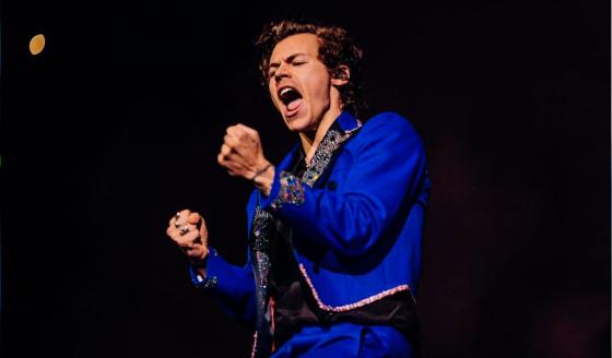 Harry Styles Harry Styles
