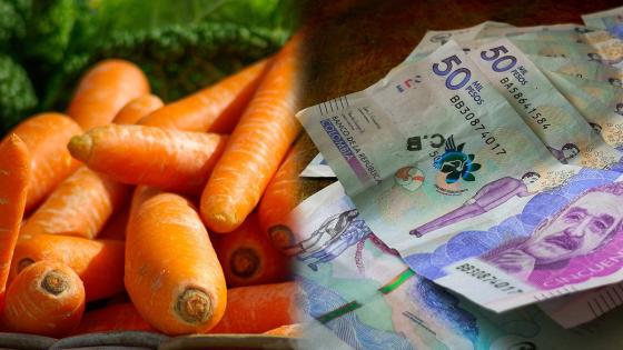 dinero escondido en bultos de verdura dinero escondido en bultos de verdura