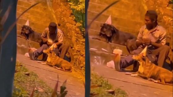 Hombre celebró cumpleaños de sus dos perritos Hombre celebró cumpleaños de sus dos perritos