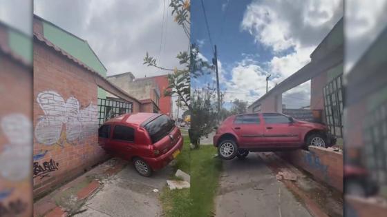 Accidente en fundación Doggy in Home