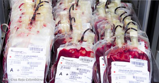 banco de sangre Cali