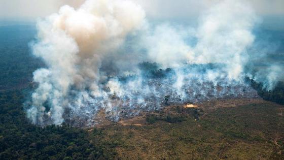 incendio forestal Amazonas