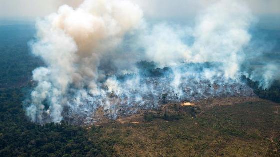 incendio forestal Amazonas incendio forestal Amazonas