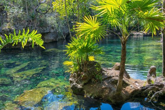 Pablo Trujillo Travel y los cenotes mayas de Tulum