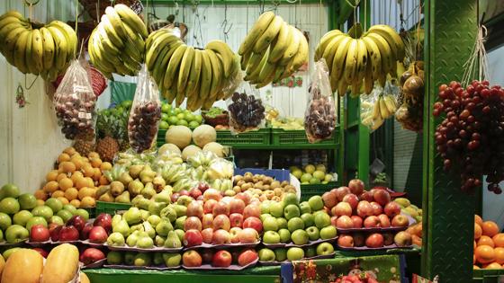 Alimentos Alimentos
