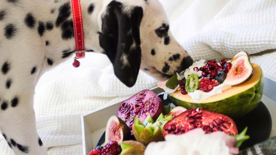 frutas-mascotas frutas-mascotas