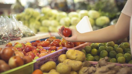 alimentos alimentos