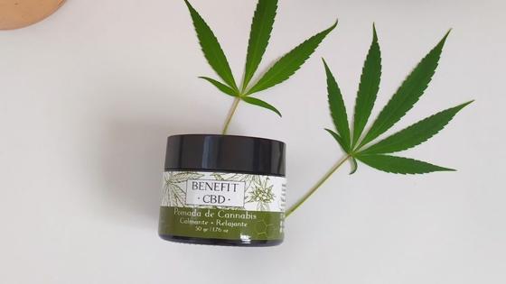 El mercado de CBD en Colombia y en el mundo El mercado de CBD en Colombia y en el mundo