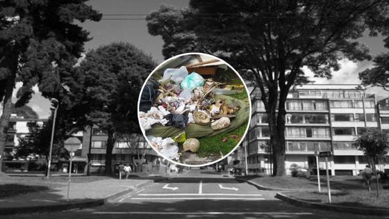 Hallan restos localidad de Teusaquillo 