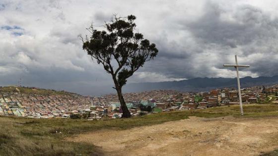 Árbol del ahorcado